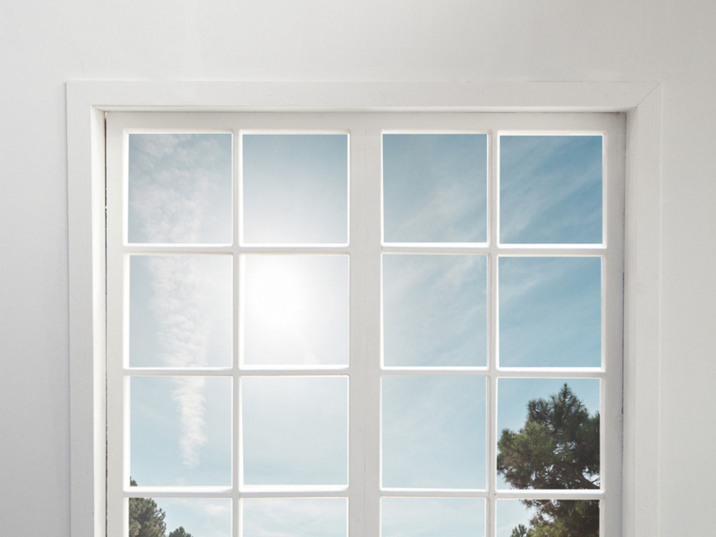 Window Replacement & Glass Repair Services Bozeman & Belgrade, MT